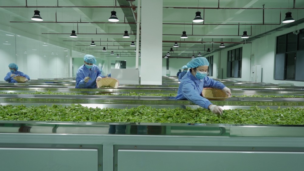 �y(c��)ԇ�ÈDƬ